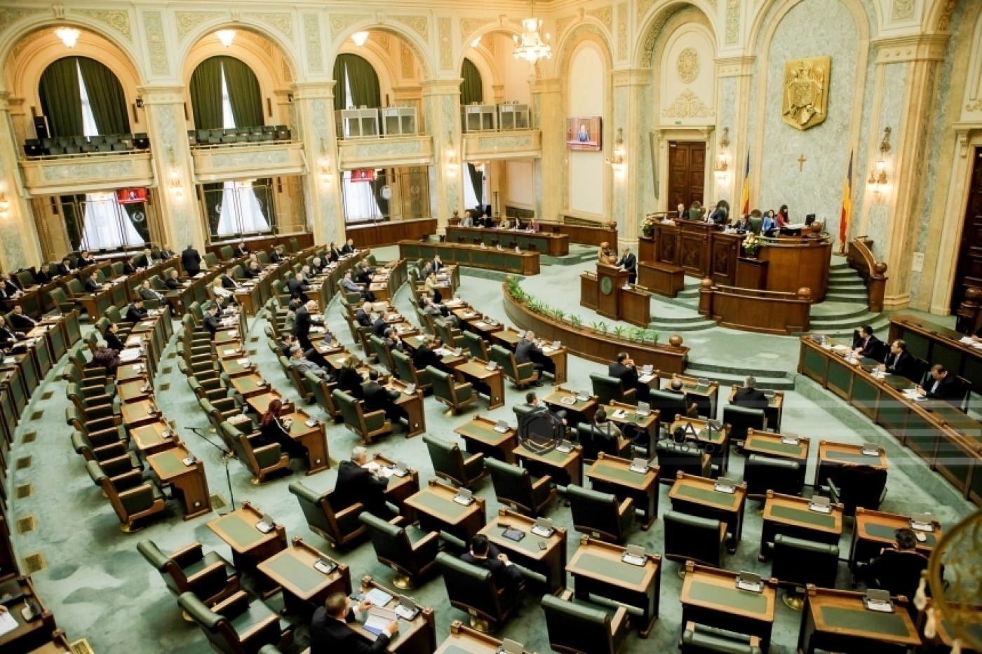 Decizie crucială pentru mediu: Strategia biodiversității revine pe masa Senatului