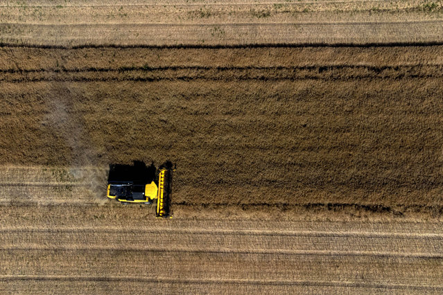 Plata CASS în industria alimentară şi agricultură dă peste cap un sector de 12 mld. euro