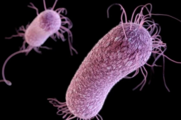 Pandemia de COVID va păli în fața pericolului reprezentat de superbacteriile rezistente la medicamente, avertizează experții