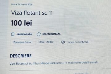 Cum scăpăm de vizele de flotant? „Nu există școli atât de bune încât să merite să-ți crești copilul în trafic”