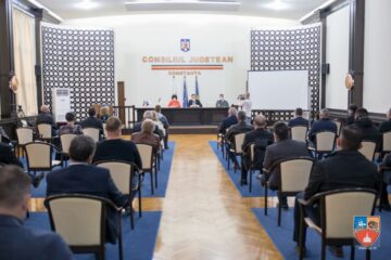 Cum se vor ilustra luptele de la nivelul Guvernului în teritoriu: „Pentru orice funcţie, trebuie să primeşti un acord de la şeful de partid”