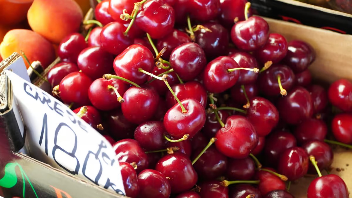 au apărut cireșele și costă 180 de lei kg