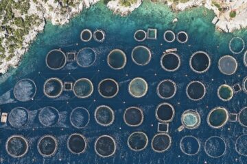 deșeuri din ferme abandonate ajung în mare