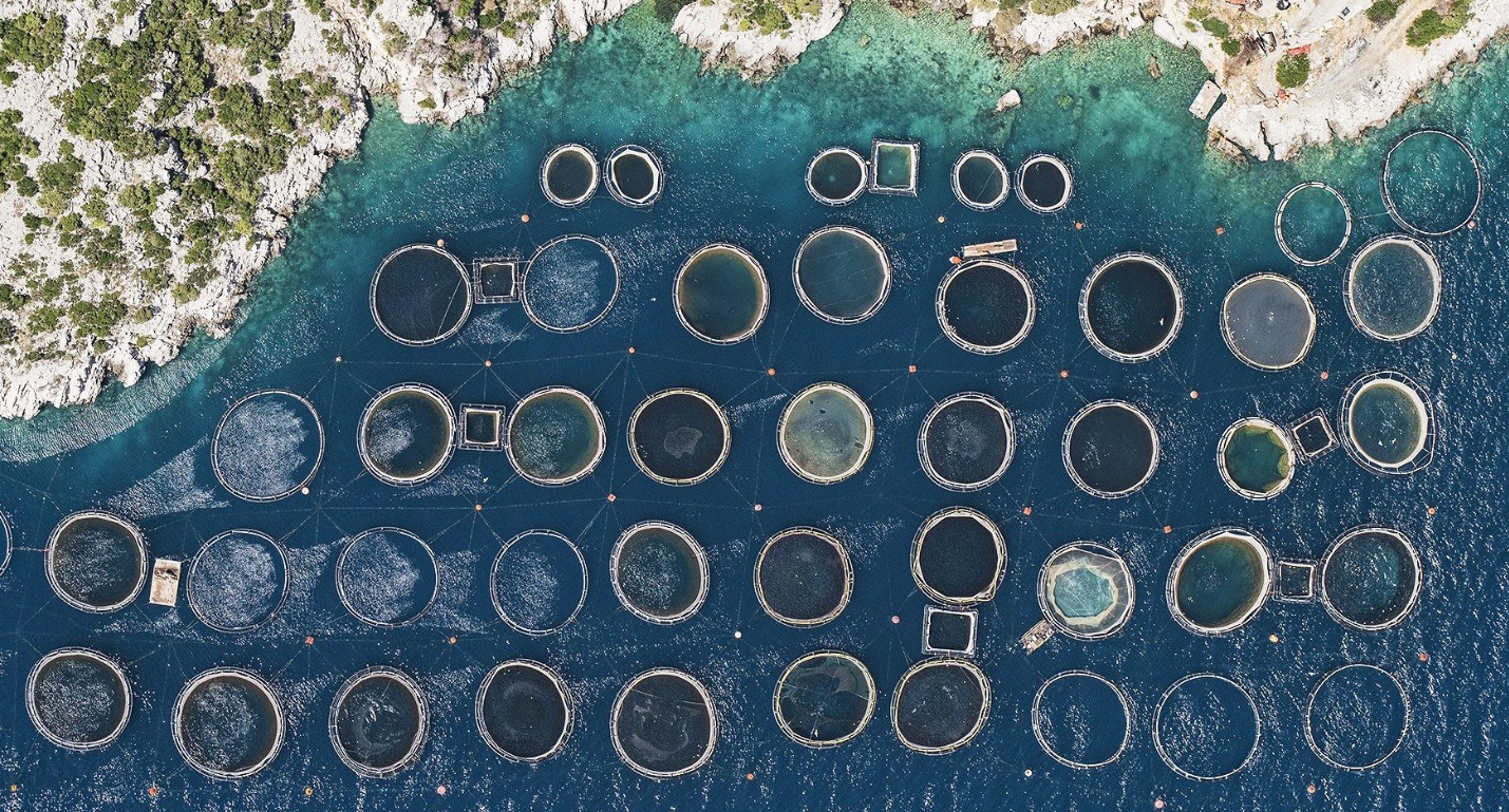 deșeuri din ferme abandonate ajung în mare