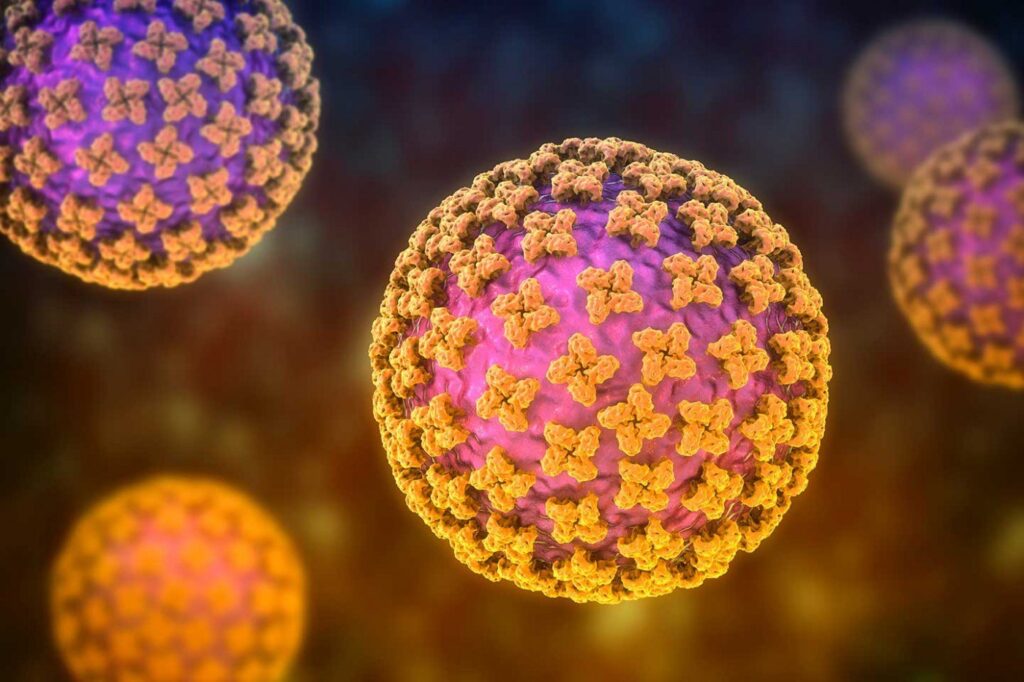 Suspiciune de Hantavirus în România. Ce spune dr. Marinescu (Matei Balș): „Autoritățile ar trebui să ne scape de rozătoare, în primul rând”