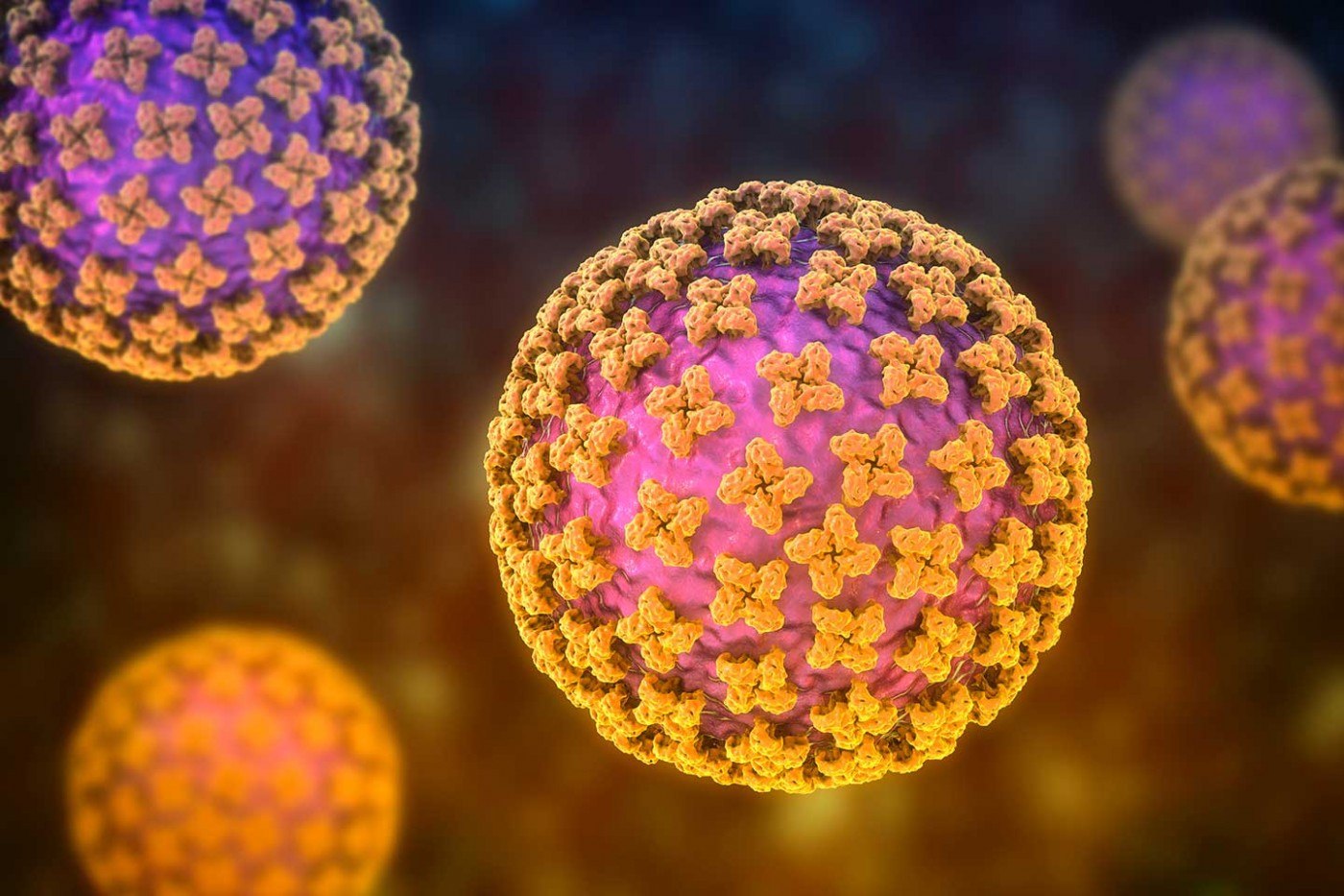 Suspiciune de Hantavirus în România. Ce spune dr. Marinescu (Matei Balș): „Autoritățile ar trebui să ne scape de rozătoare, în primul rând”