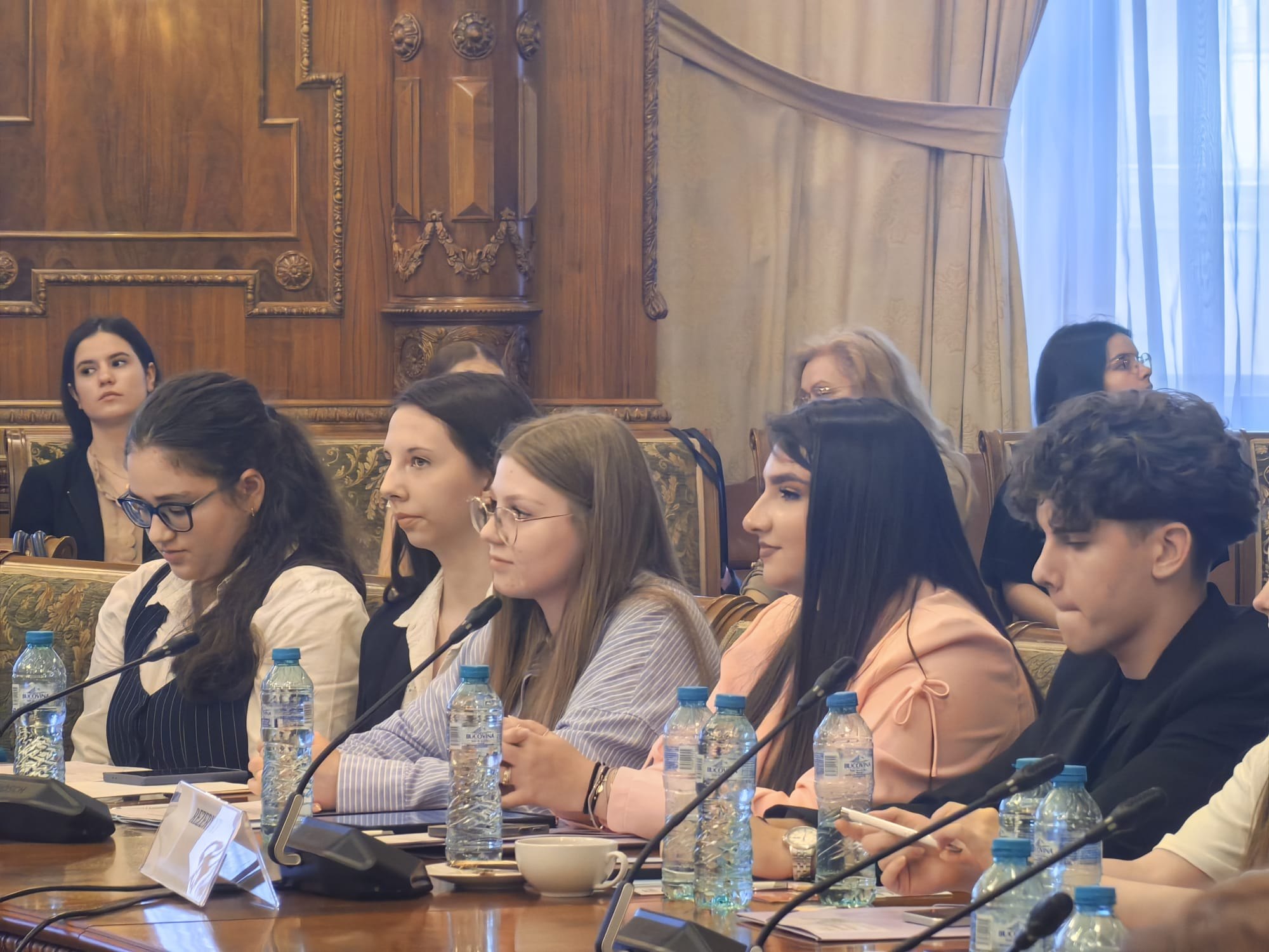 Strigătul de alarmă al elevilor, la Senat: Suntem anxioși și urâm școala. Nimeni nu ne învață cum să trecem peste asta