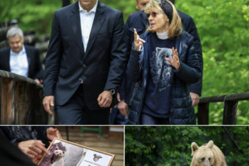 Președintele Poloniei a adoptat un urs în timpul vizitei în România pentru Summitul B9. „Faceți cunoștință cu Batyr”