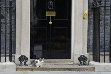 Mai rezistent decât premierii britanici. Larry, motanul de la Downing Street, bifează încă un mandat