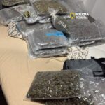 Zeci de kilograme de canabis, descoperite într-o locuință din Cluj-Napoca