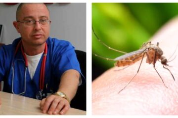 Trei cazuri de infecție cu virusul West Nile, unul mortal. Avertisment: „Nu neglijați înțepăturile de țânțari”