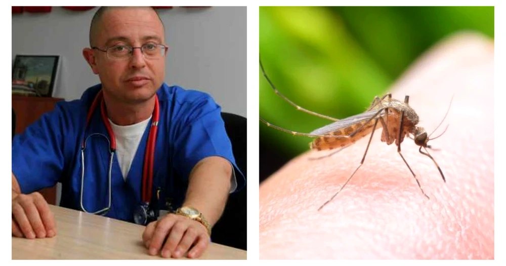 Trei cazuri de infecție cu virusul West Nile, unul mortal. Avertisment: „Nu neglijați înțepăturile de țânțari”