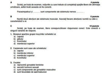 Bacalaureat 2026 | Profesorul Ionela Cociorva decodifică subiectele la Biologie: Detaliile fine care fac diferența între o notă de 7 și una de 10