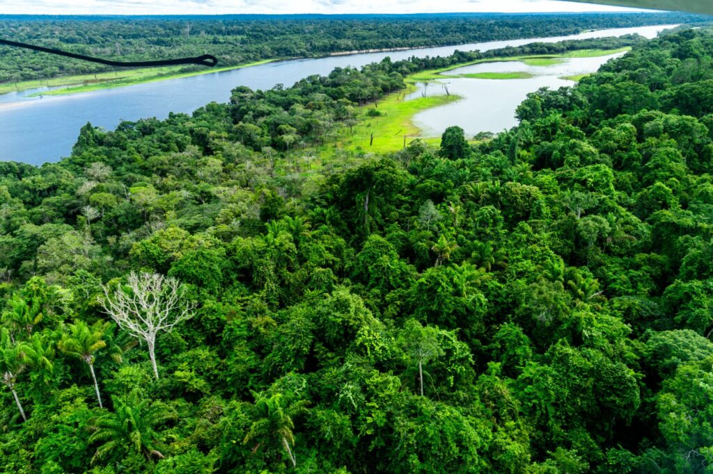 Primele indicii privind existența unor zăcăminte de petrol în largul Amazonului. O țară și-ar putea întări securitatea energetică