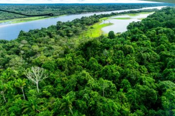 Primele indicii privind existența unor zăcăminte de petrol în largul Amazonului. O țară și-ar putea întări securitatea energetică