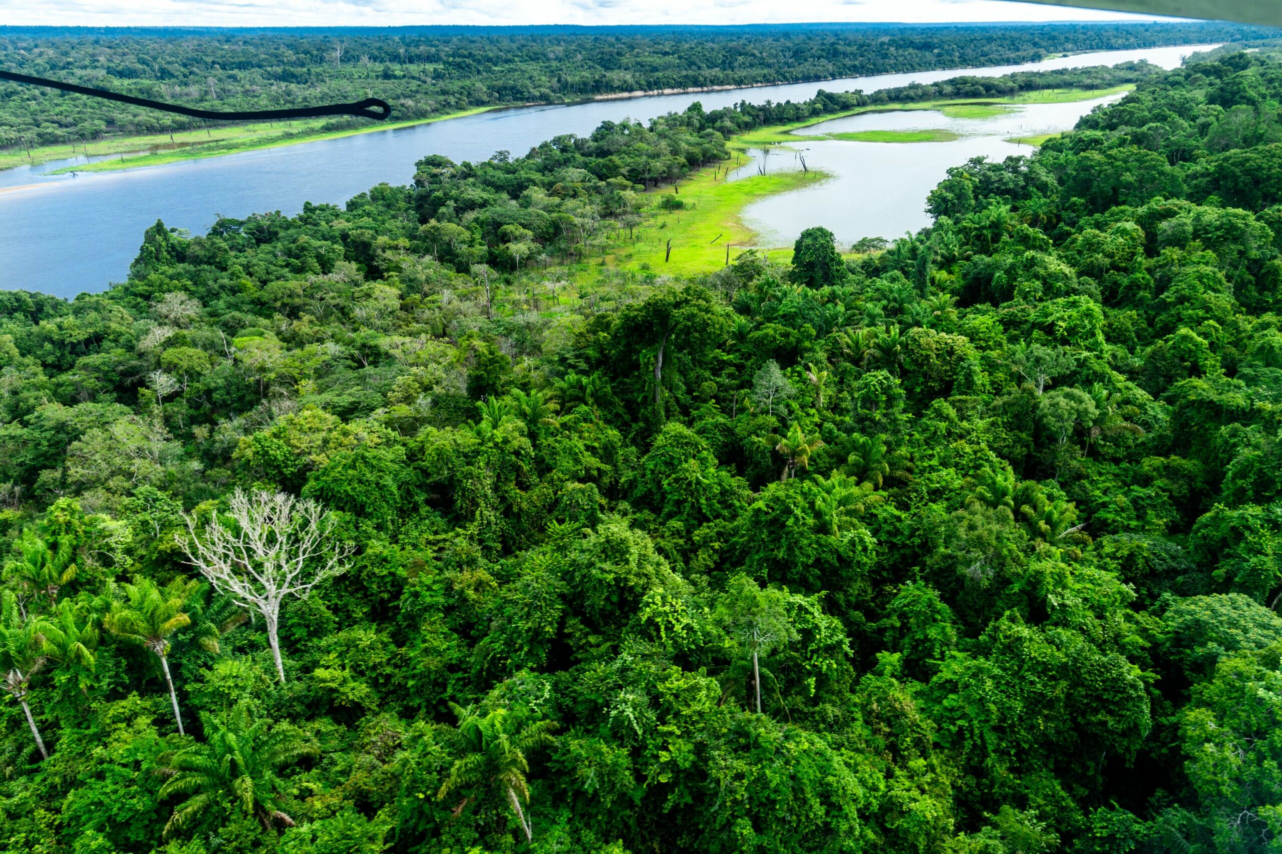 Primele indicii privind existența unor zăcăminte de petrol în largul Amazonului. O țară și-ar putea întări securitatea energetică