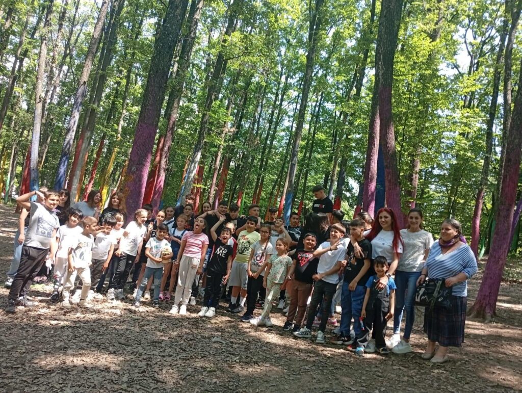Ministerul Educației lansează PRIMII, un program în care vor fi incluși aproximativ 50.000 elevi. Ce școli se pot înscrie