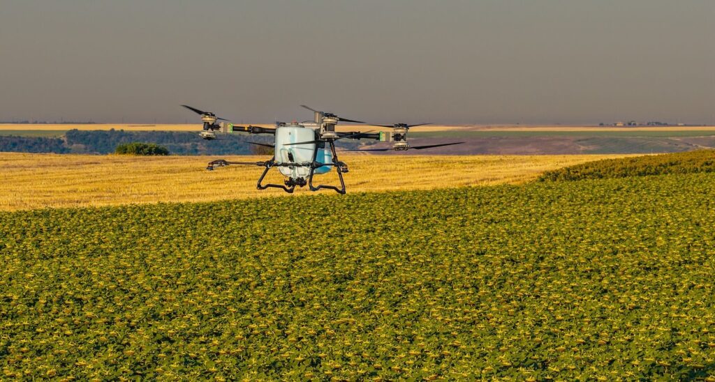 Unde nu a răsărit rapița? AEROCROP identifică zonele afectate cu ajutorul dronei