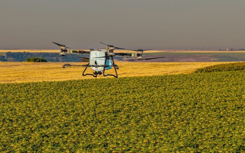 Unde nu a răsărit rapița? AEROCROP identifică zonele afectate cu ajutorul dronei