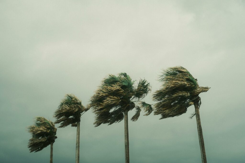 Fenomen meteorologic rar în Pacific. Din cauza El Niño, trei uragane apar în același timp și amenință țărmurile americane