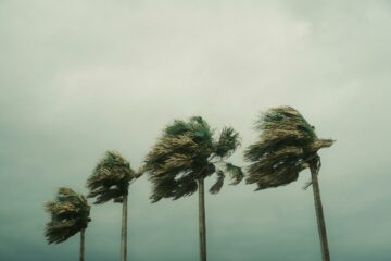 Fenomen meteorologic rar în Pacific. Din cauza El Niño, trei uragane apar în același timp și amenință țărmurile americane