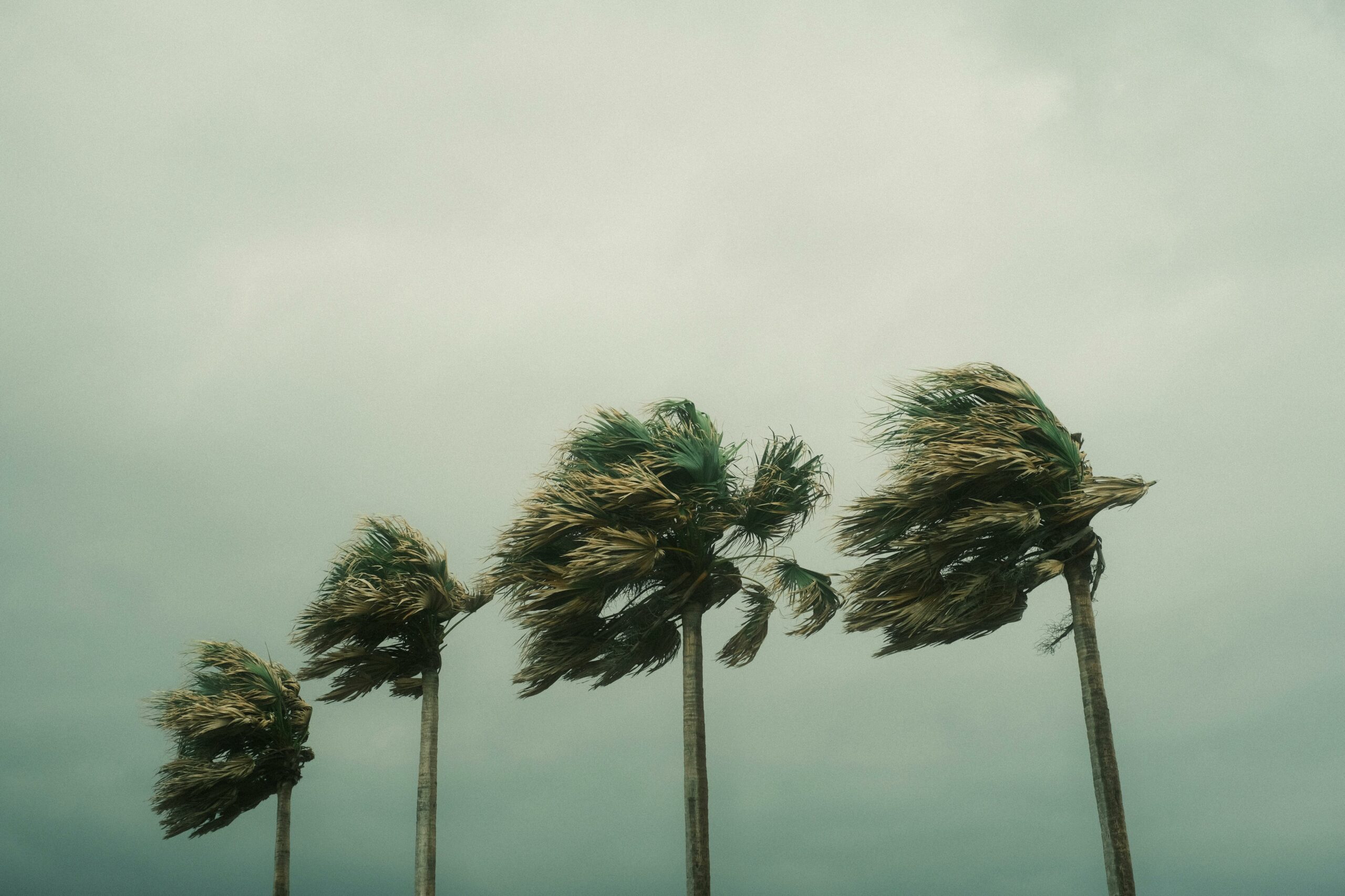 Fenomen meteorologic rar în Pacific. Din cauza El Niño, trei uragane apar în același timp și amenință țărmurile americane