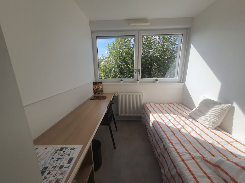 Viața de student român în Franța: cămine de lux, masă cu 1 euro, ajutor pentru chirie. „Probabilitatea de intrare la această școală a fost de 4%“