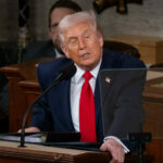 „Par să se priceapă al naibii de bine la revoluții”