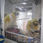 Epidemia de Ebola se extinde în Africa de Vest, după peste 4.600 de decese. Nigeria confirmă primul caz din ultimii 12 ani și monitorizează 44 de persoane